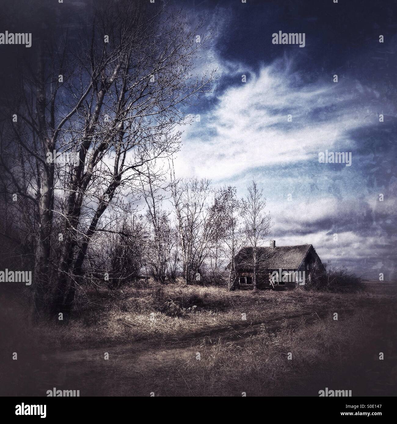 Creepy abandoned homestead in the Alberta prairies, Canada. - Smartphone Captured Stock Image