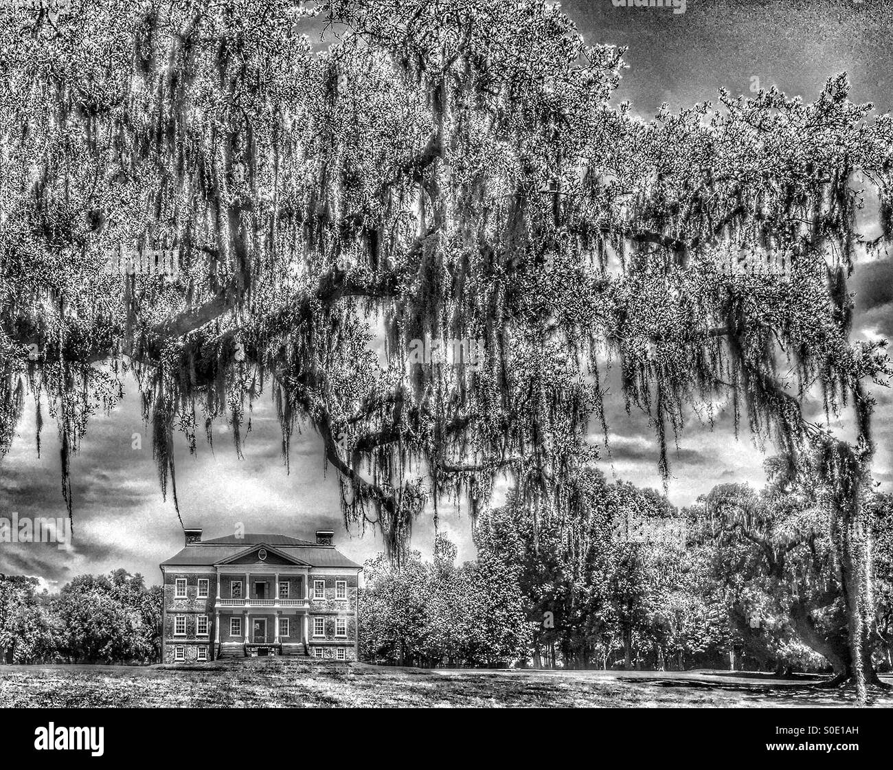 Family tree plantation hires stock photography and images Alamy
