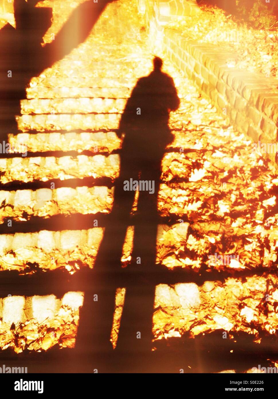 we cast a shadow we cast a shadow