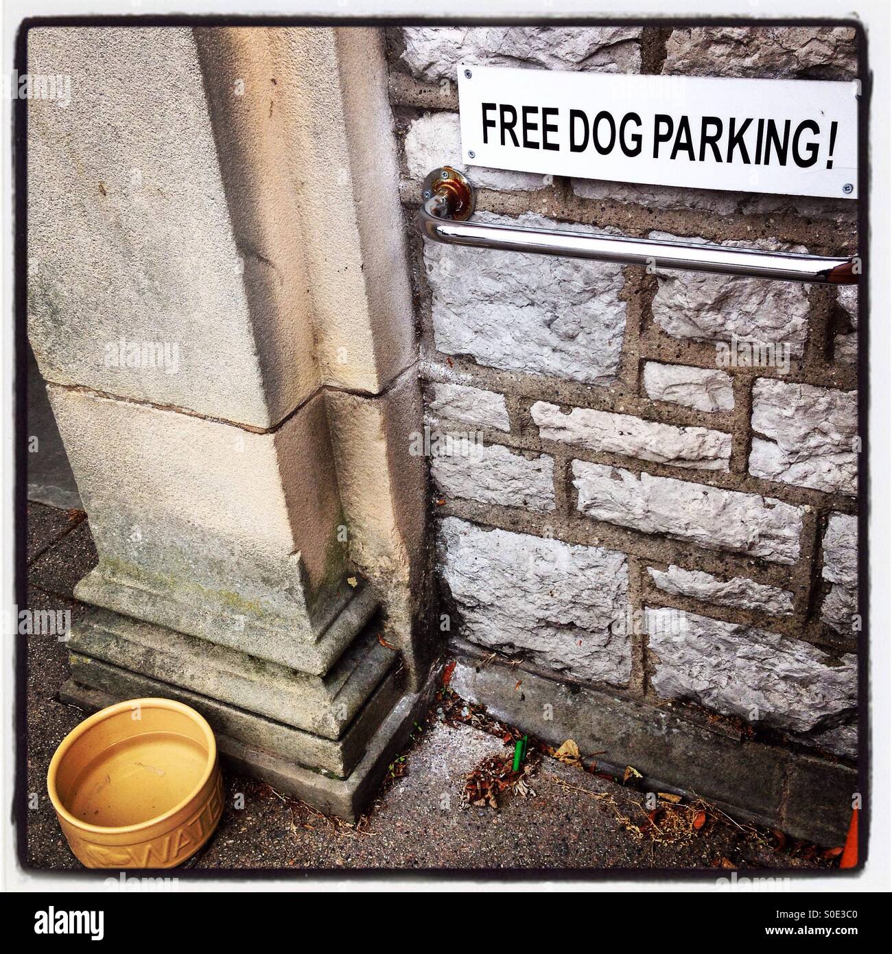 Dog Parking - Smartphone Captured Stock Image