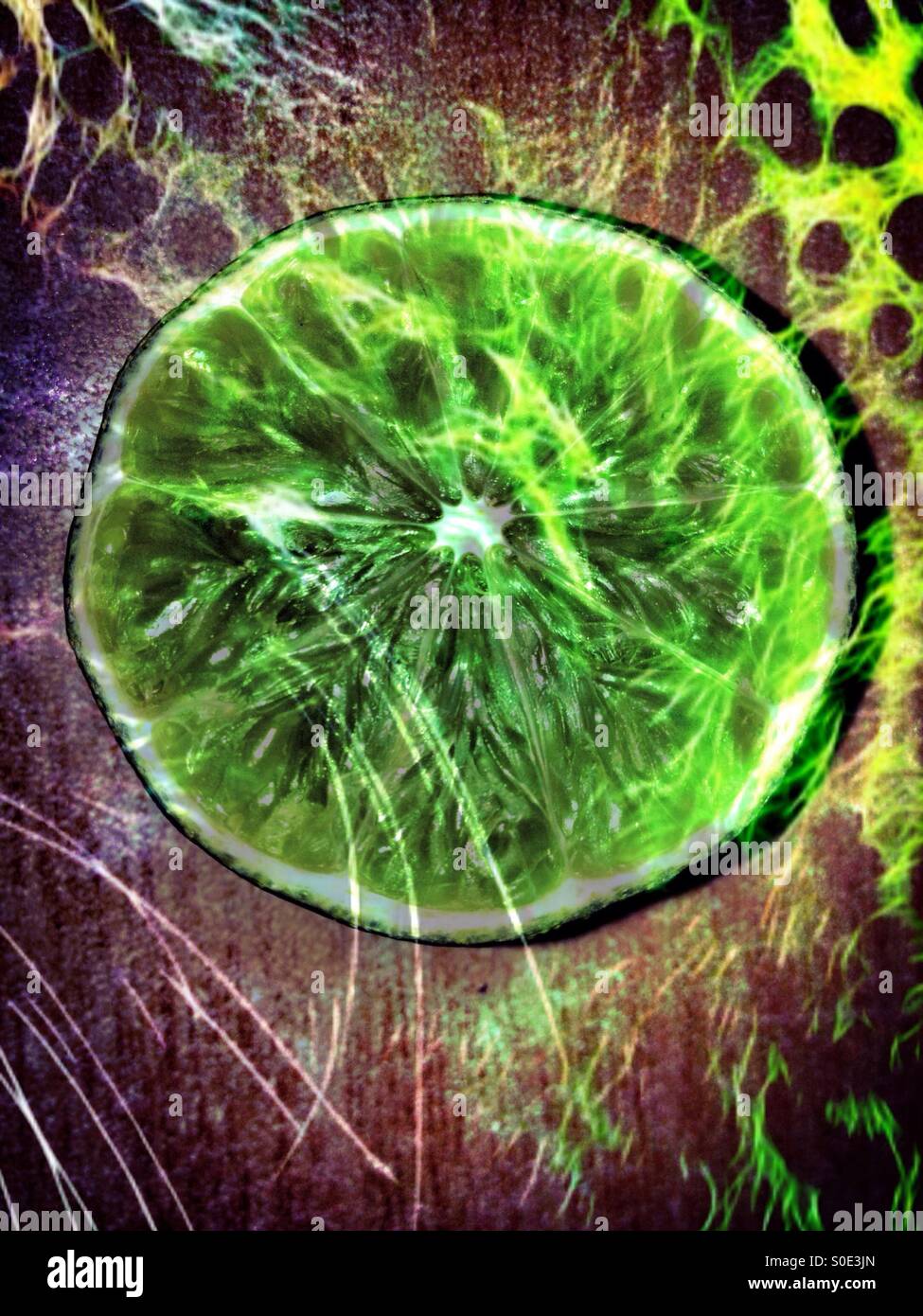 Lemon - Smartphone Captured Stock Image