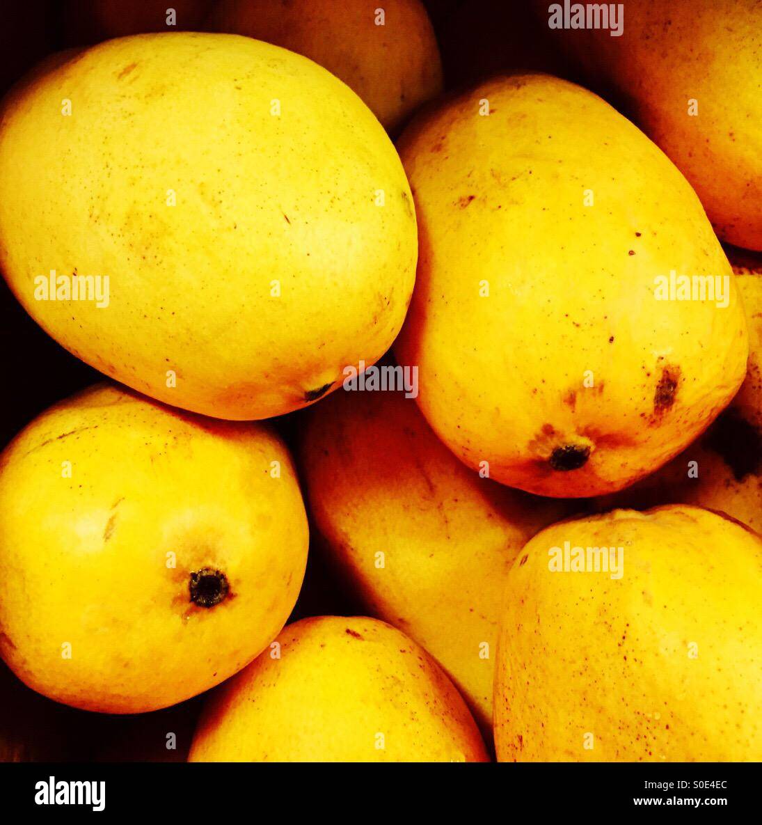 Phillipine mangoes Stock Photo