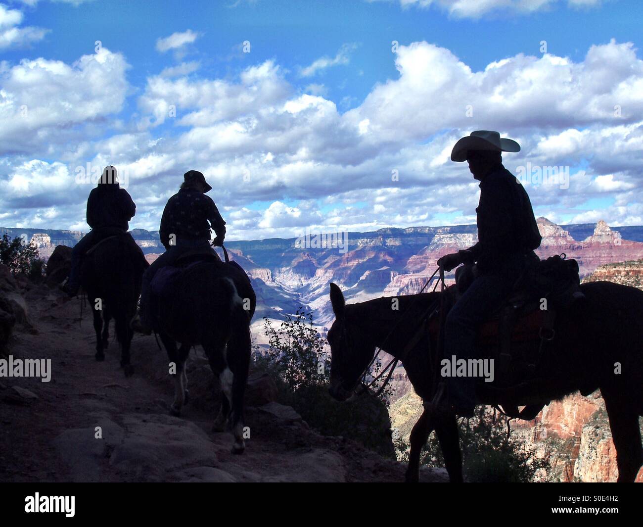 Cowboy silhouette driving mules across the steepest recesses of the canyon rim in Arizona - Smartphone Captured Stock Image