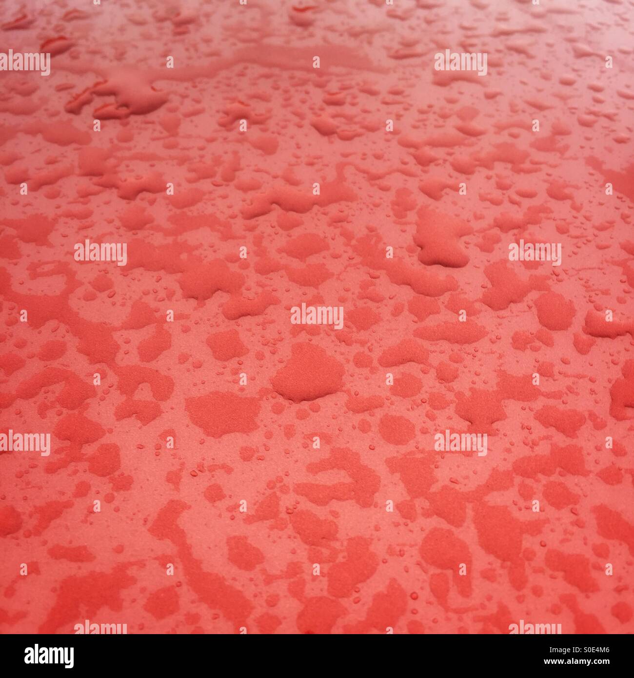 Water droplets on a metallic red background Stock Photo