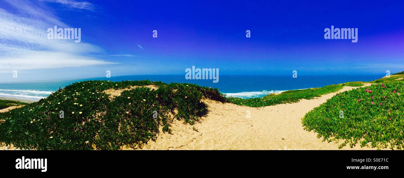 Scenic dreamy California beach, sand dunes, ice plant, and blue blue azure skies with a wisp of Southern cloud - Smartphone Captured Stock Image