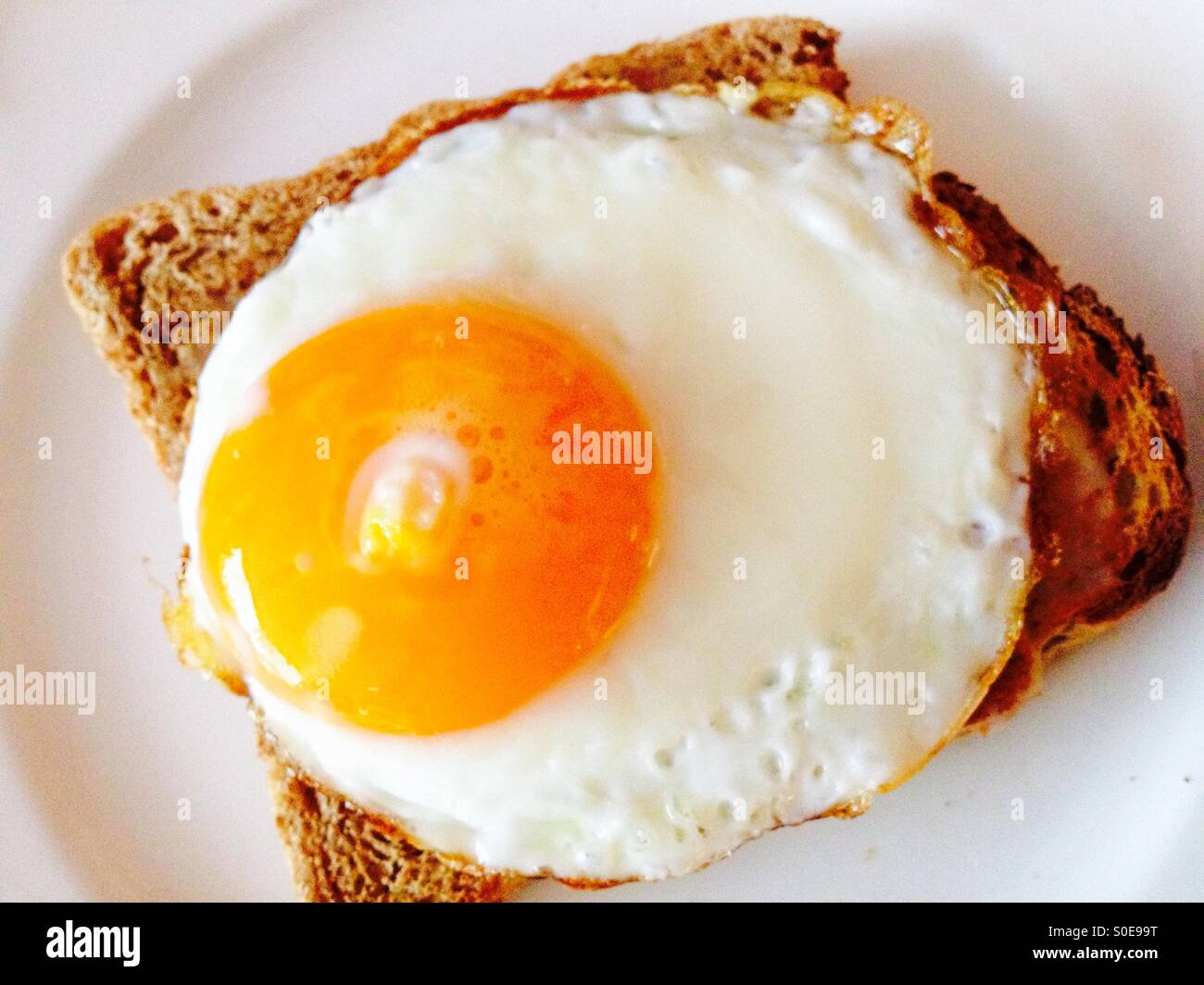 Free-Range Fried Eggs