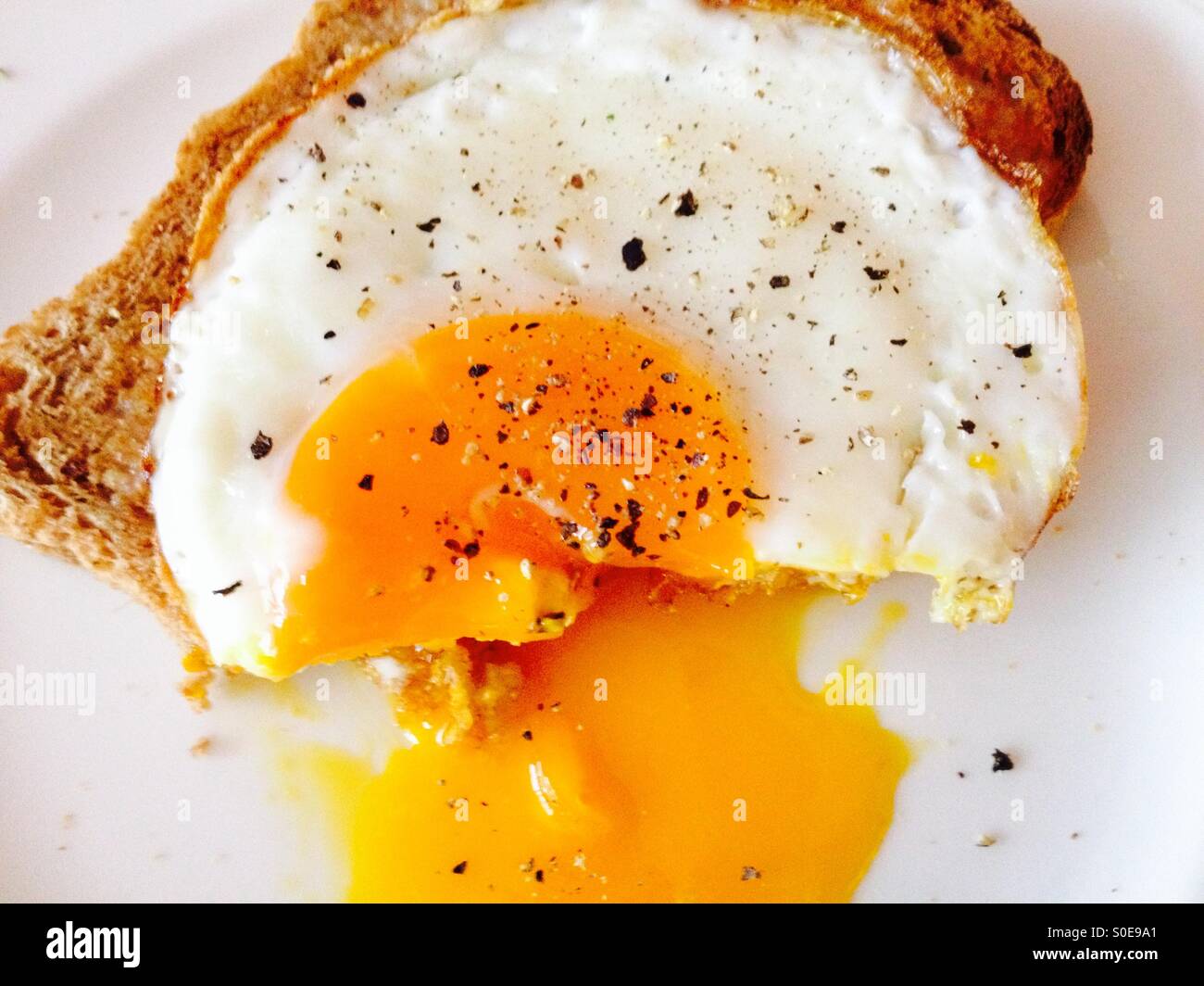 Free-Range Fried Eggs