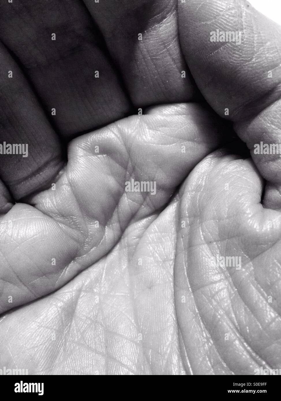 Closeup of a man's hand in black and white Stock Photo - Alamy