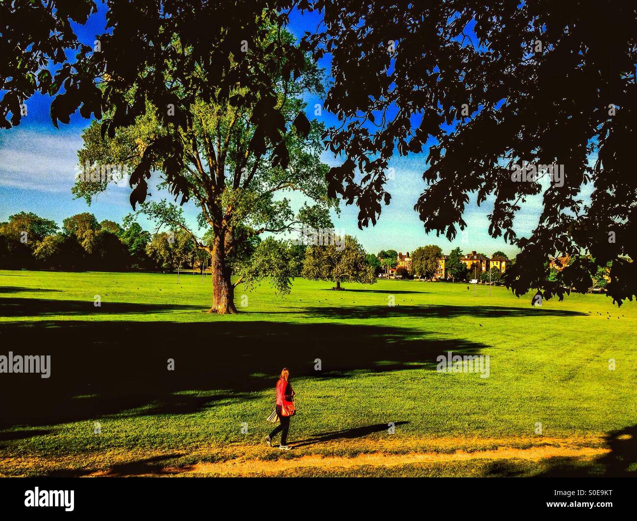 Peckham Rye park Stock Photo - Alamy