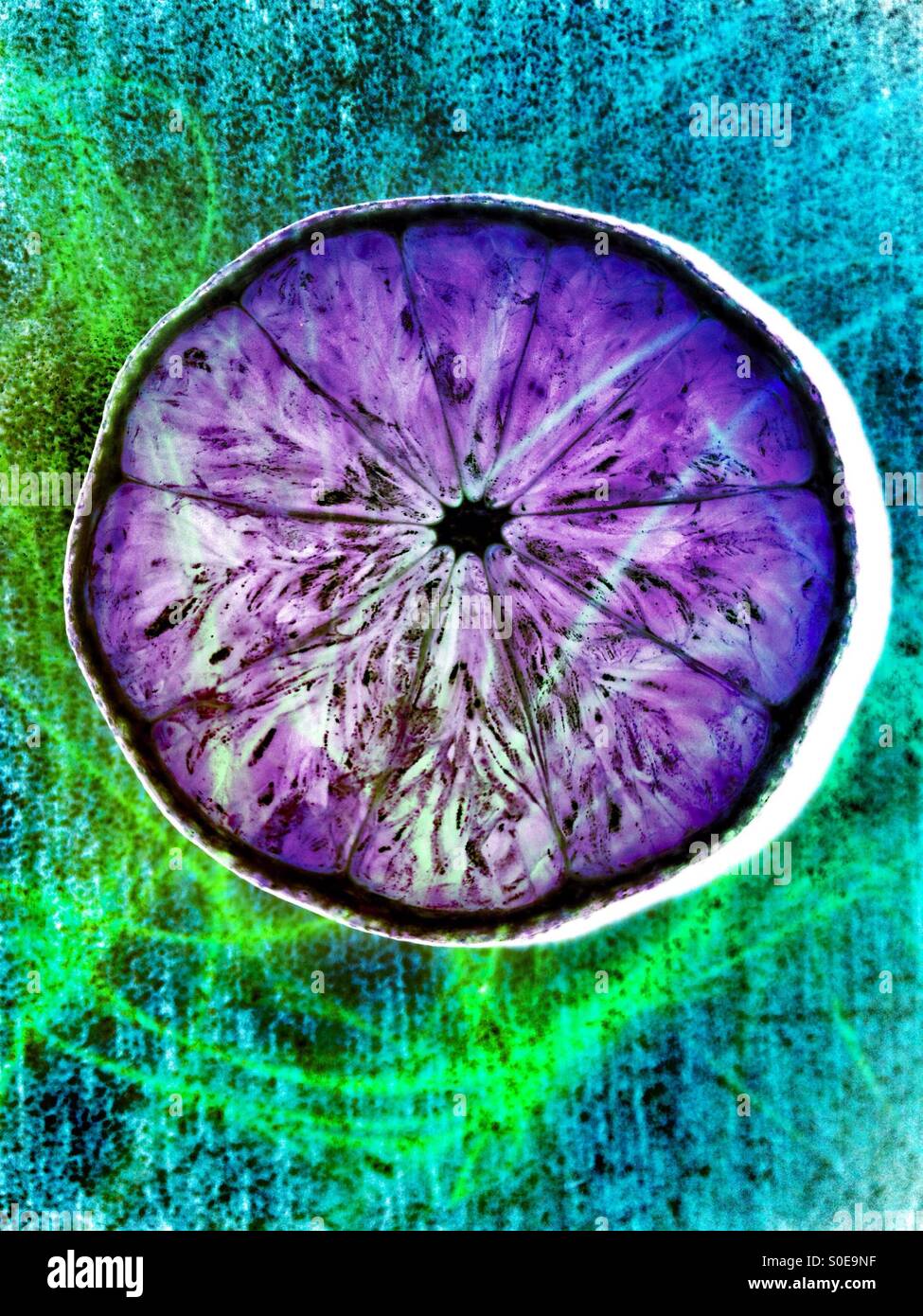 Lemon - Smartphone Captured Stock Image