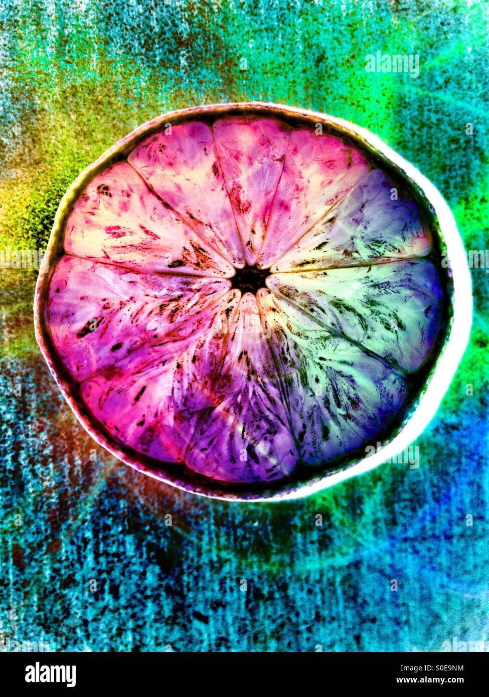 Lemon - Smartphone Captured Stock Image