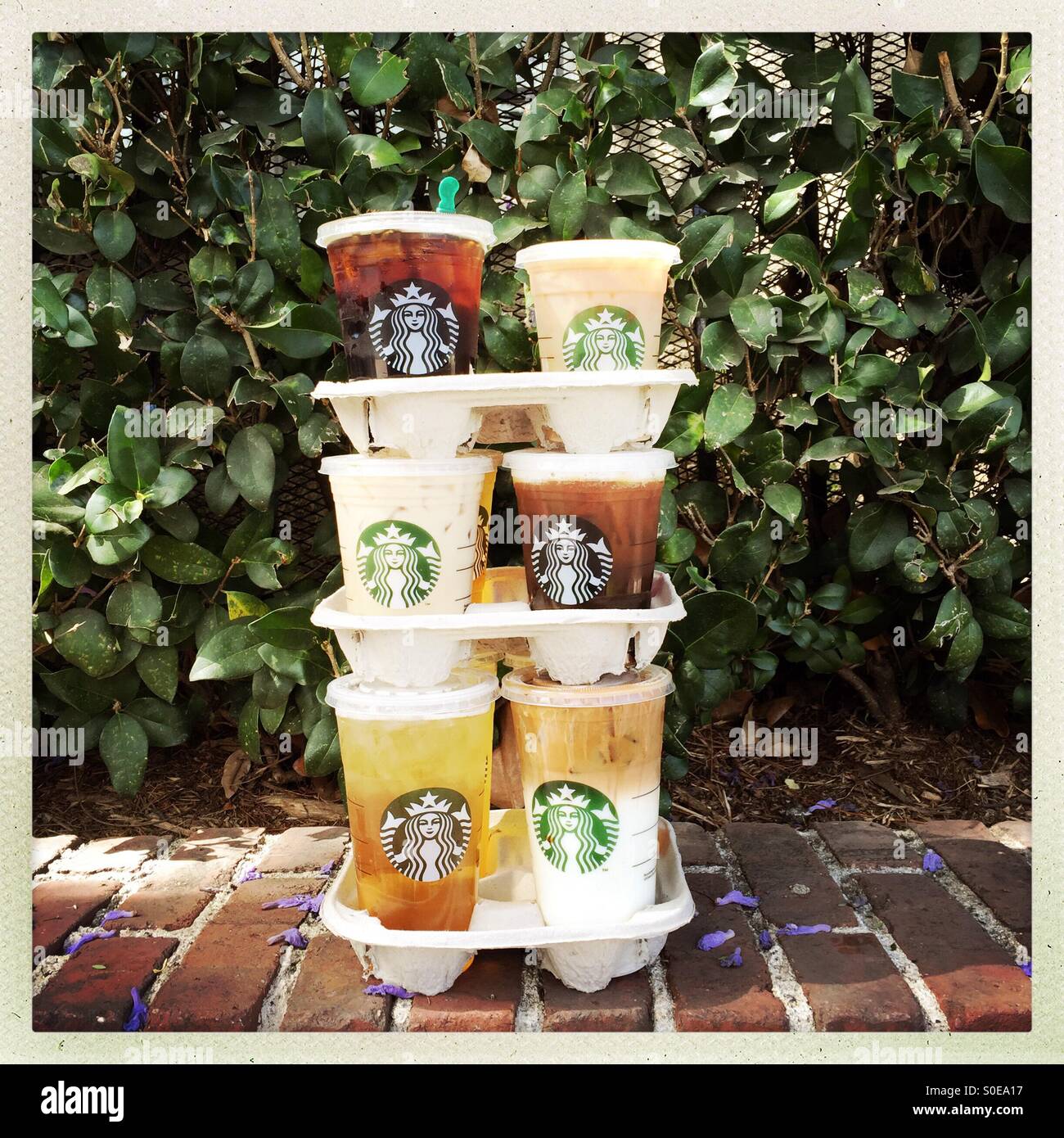 Starbucks drinks stacked three high. - Smartphone Captured Stock Image