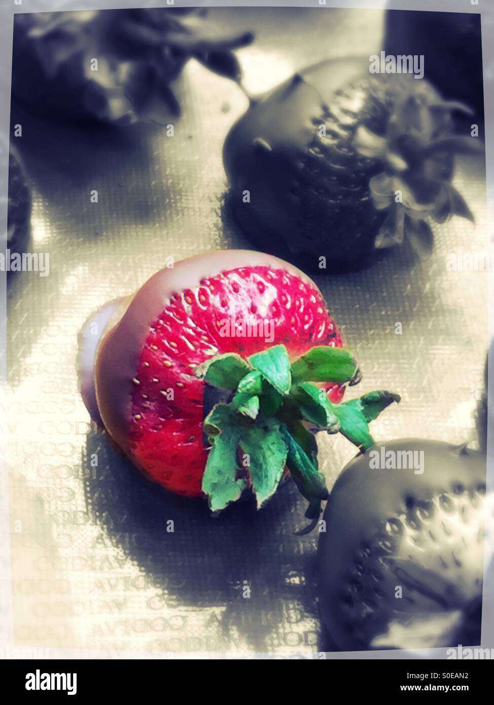 Strawberries dipped in chocolate  with one in color and rest black and white at Godiva, NYC - Smartphone Captured Stock Image