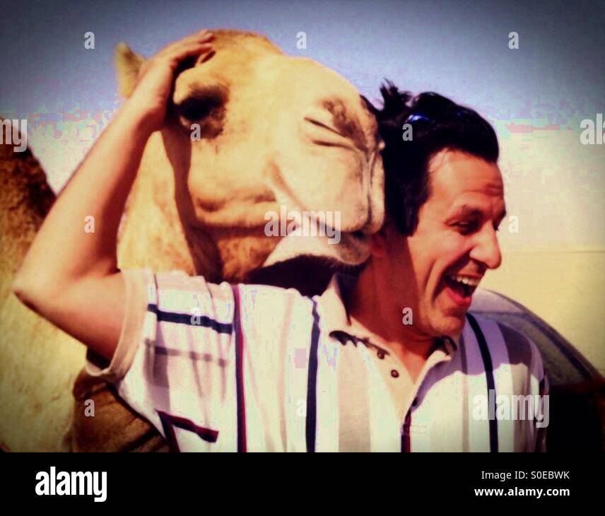 Wet Willy from a Camel! Desert adventure Stock Photo Alamy