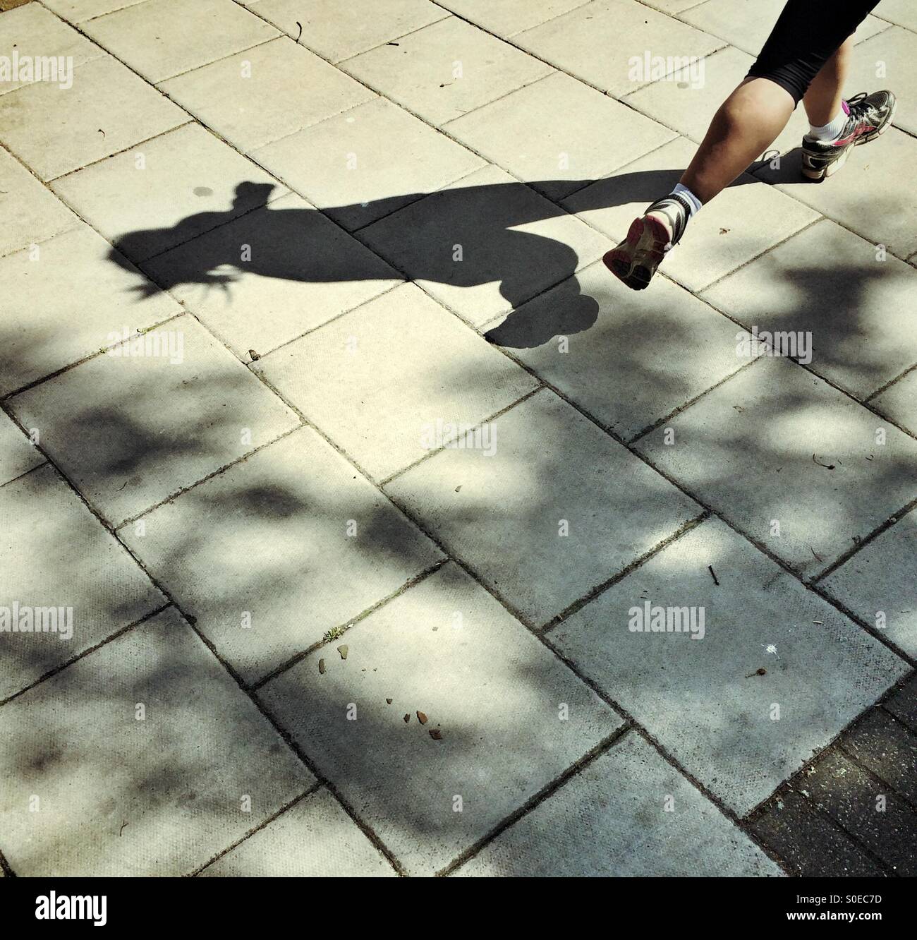 Shadow run hires stock photography and images Alamy