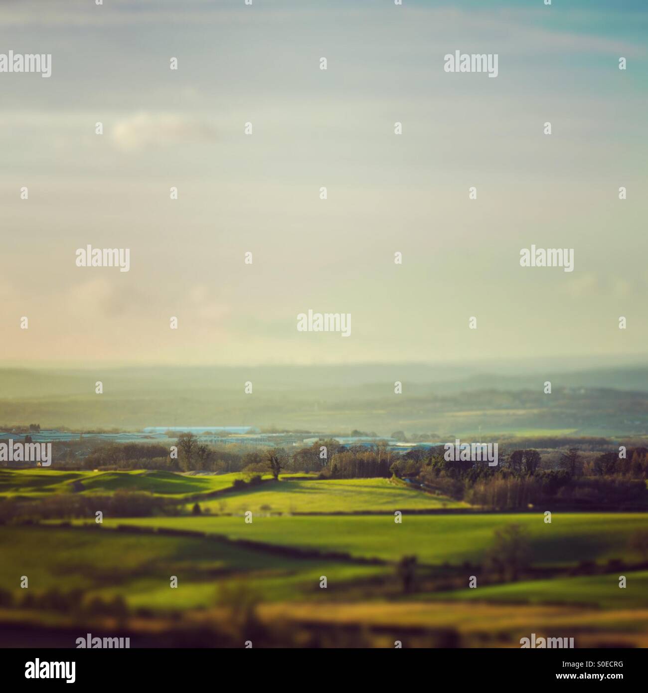 Misty County Durham landscape - Smartphone Captured Stock Image