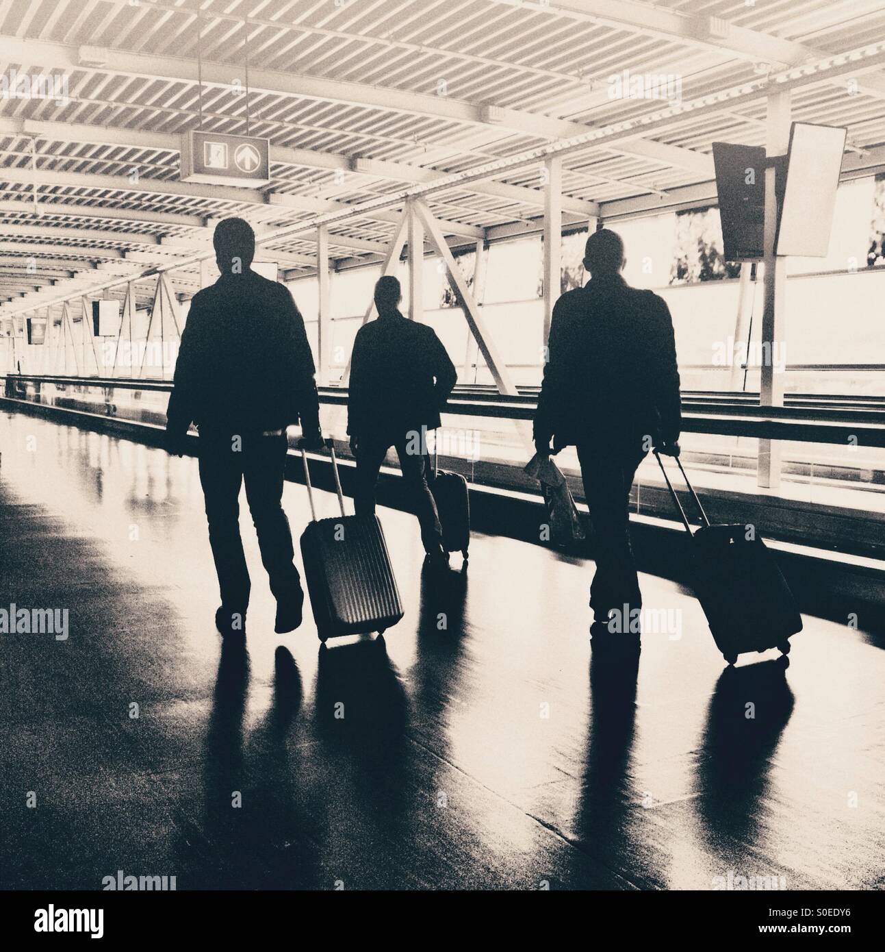 Airport travellers with carry on baggage Stock Photo Alamy