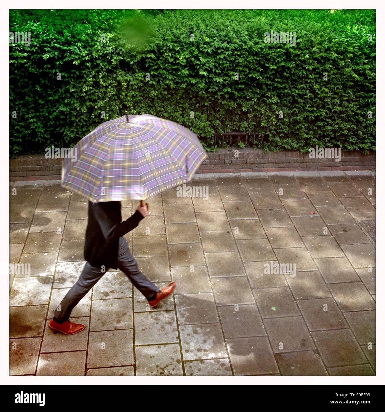Smartly dressed man holding a big umbrella walking on the street in London Uk - Smartphone Captured Stock Image