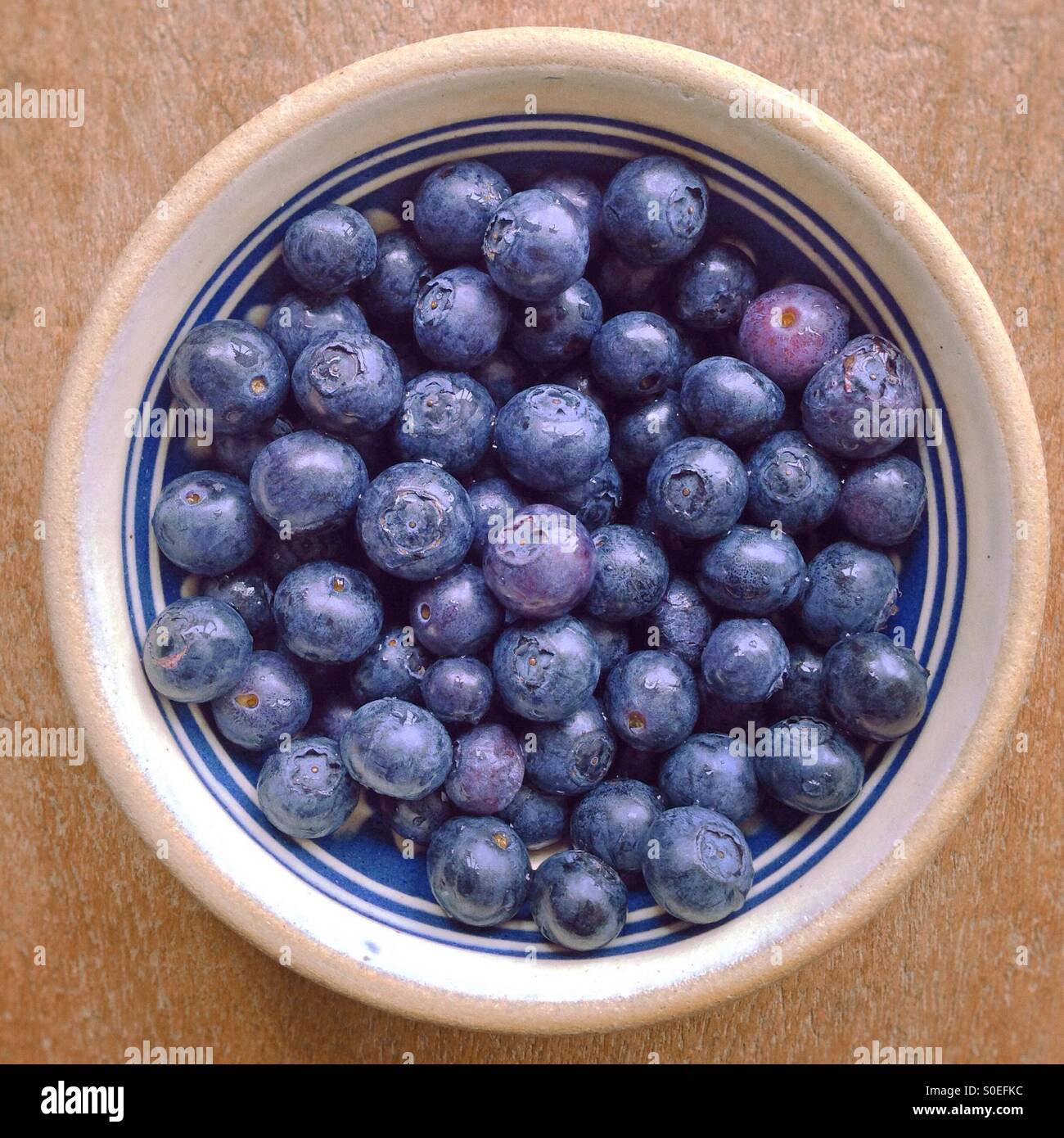 A Bowl of blueberries - Smartphone Captured Stock Image