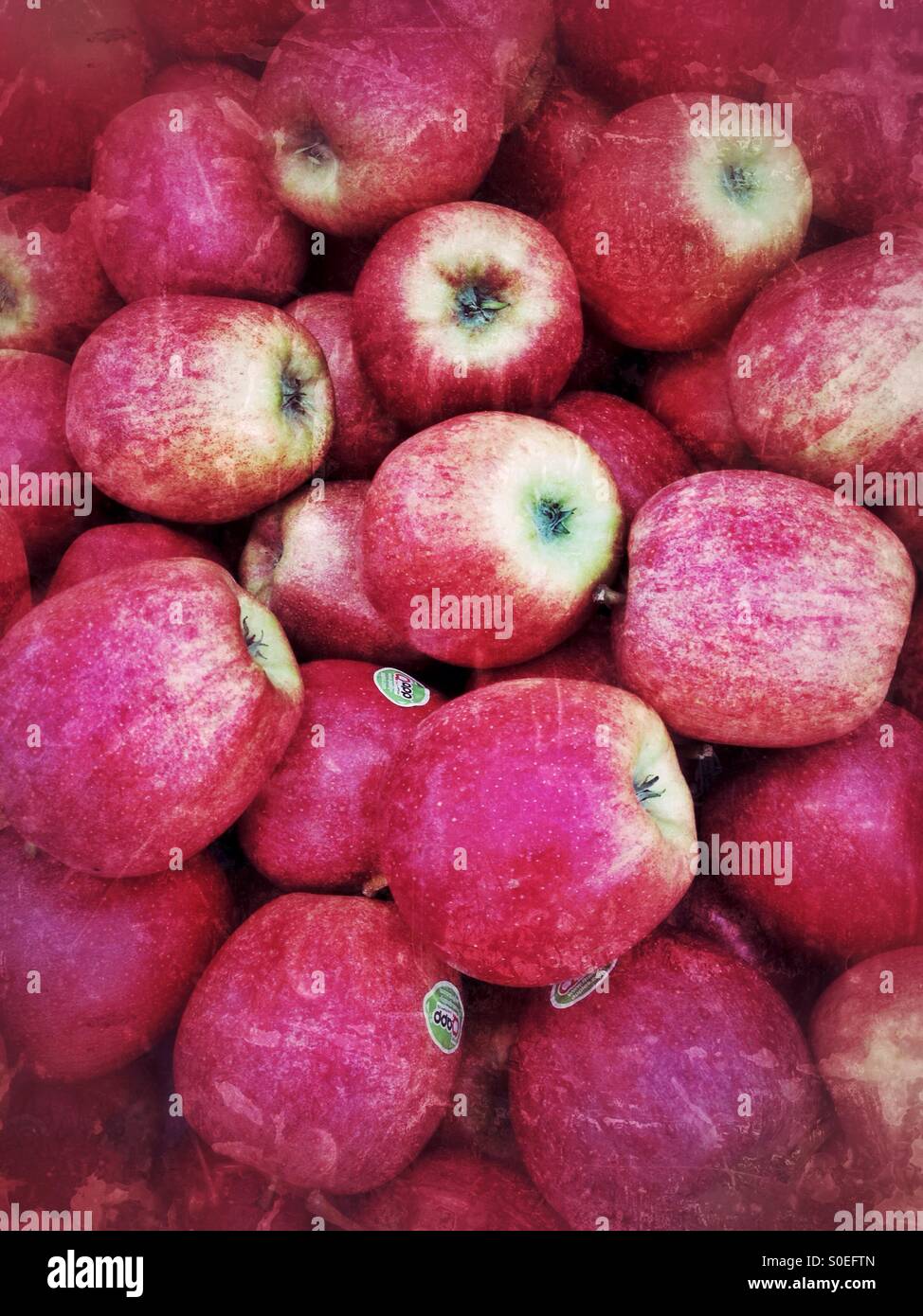 Red Apples Stock Photo