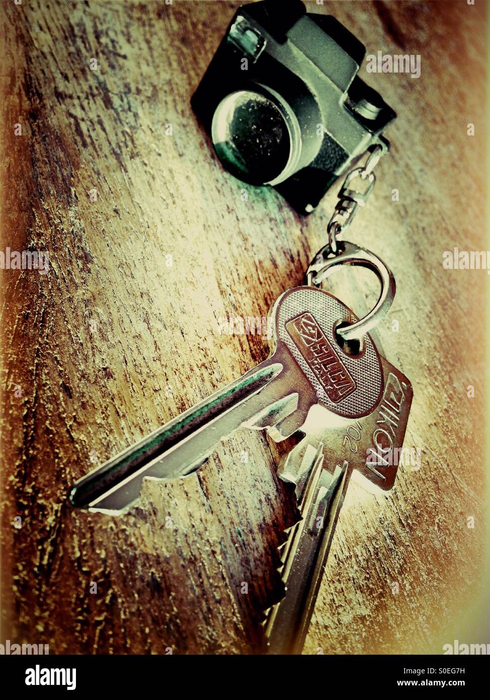 Camera Key chain - Smartphone Captured Stock Image
