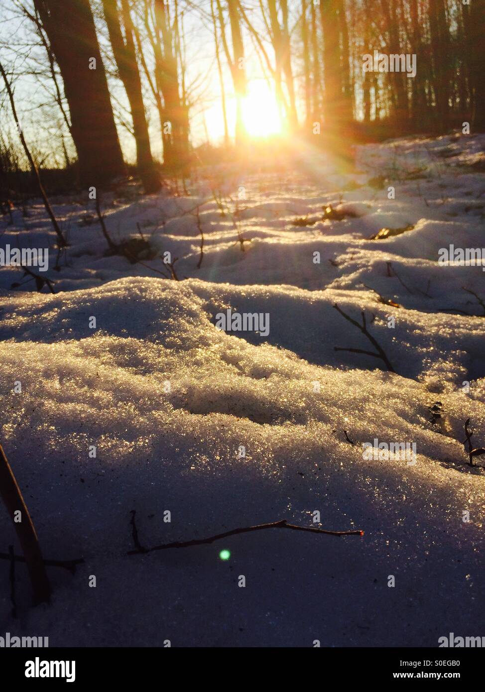 Snowlight hi-res stock photography and images - Alamy