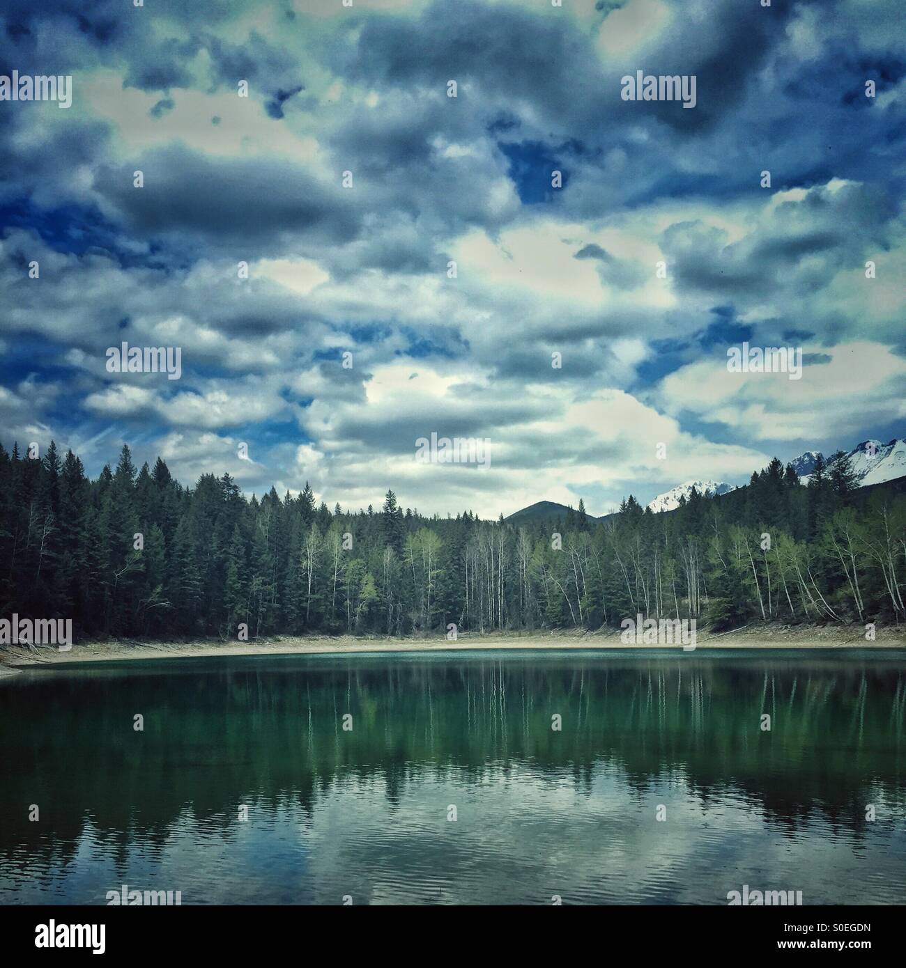 Evergreen trees reflected in emerald lake in northern Alberta with mountains in the background. - Smartphone Captured Stock Image