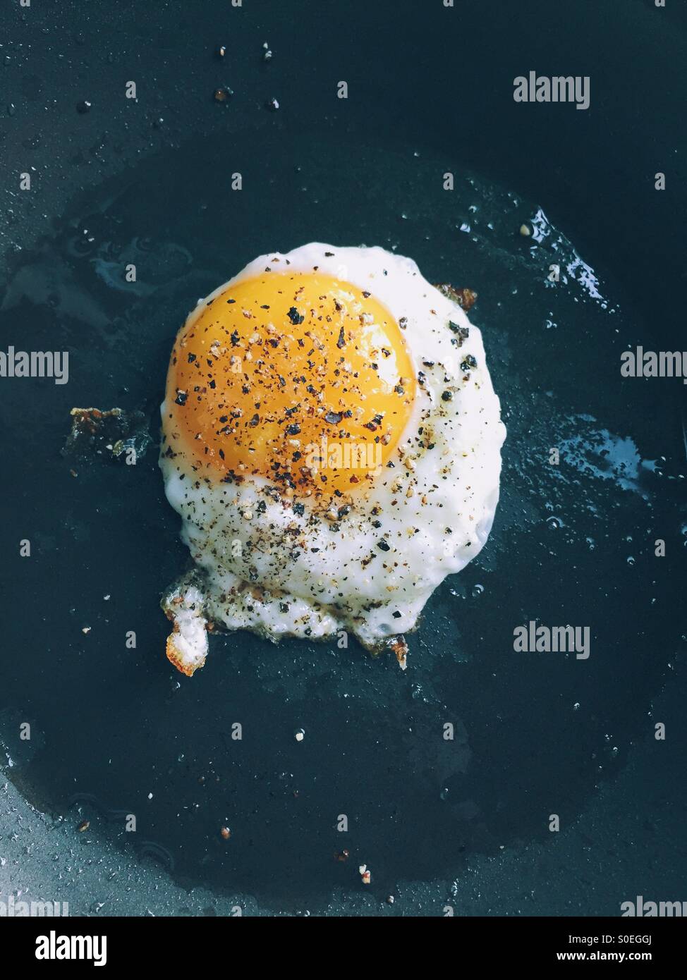 Fried egg in frying pan - Smartphone Captured Stock Image