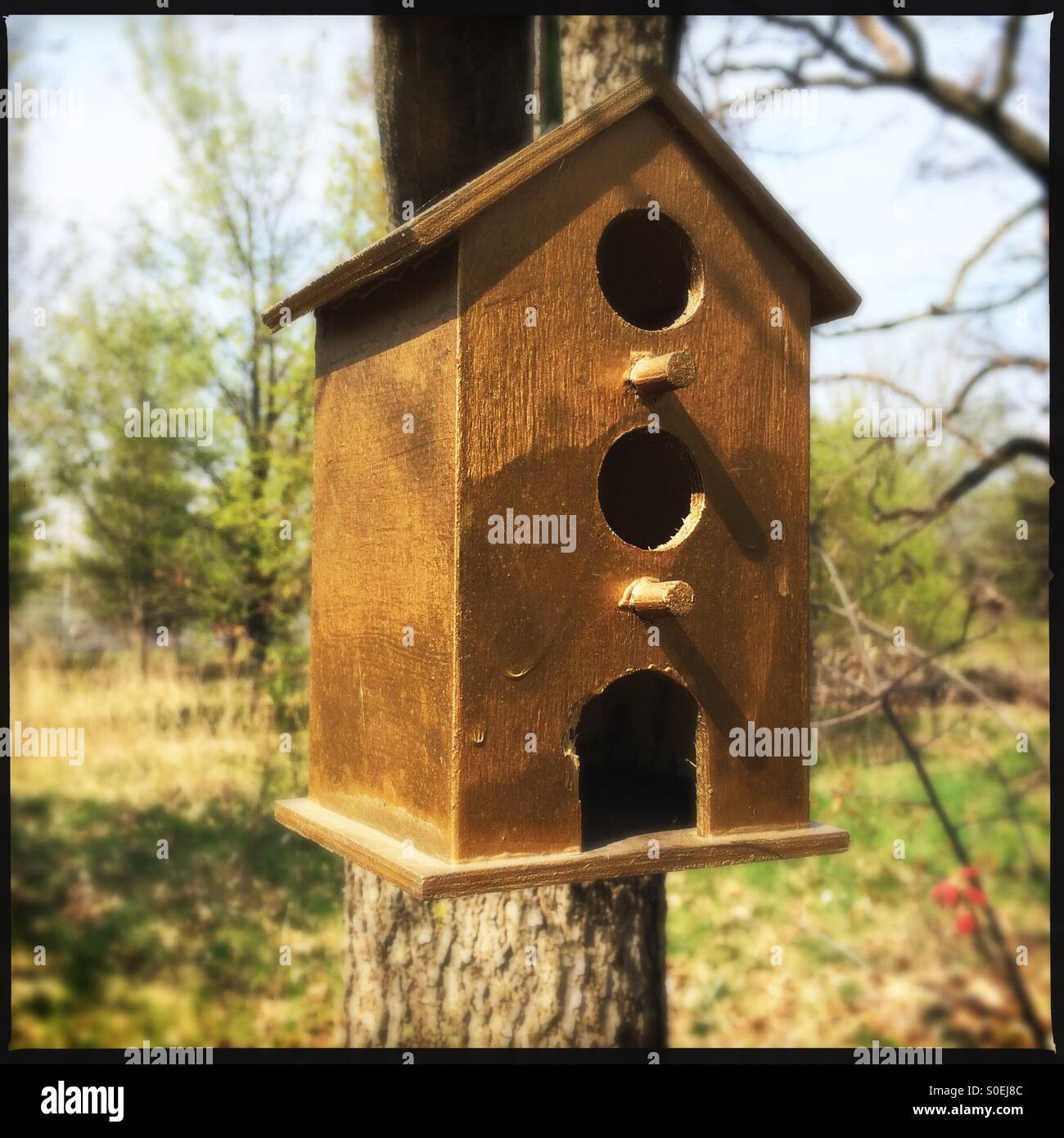 Birdhouse - Smartphone Captured Stock Image