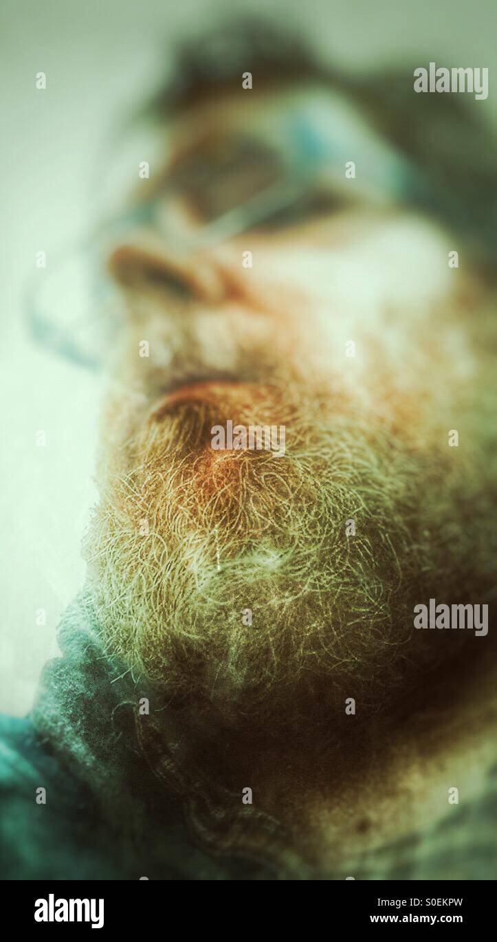 Bear portrait - Smartphone Captured Stock Image