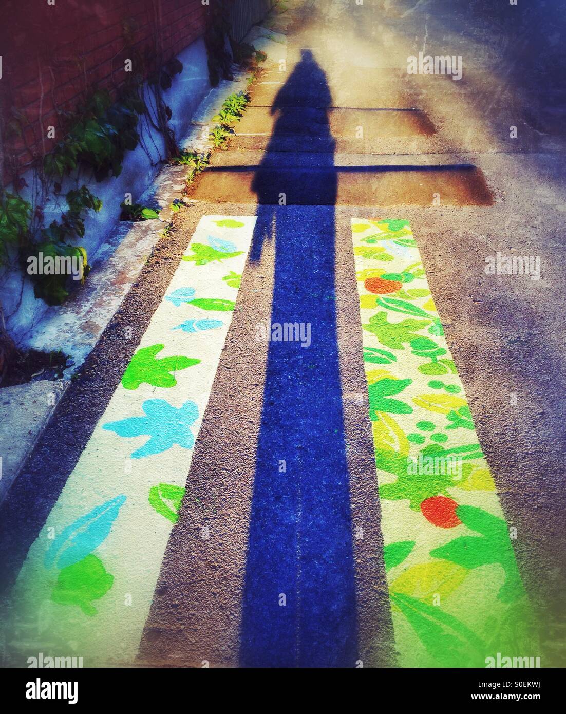 Shadow - Smartphone Captured Stock Image