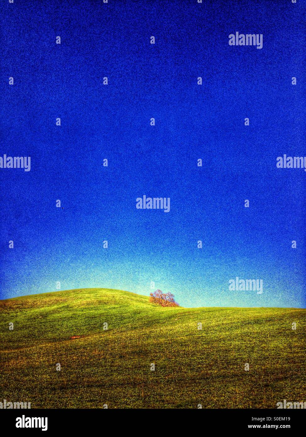 Blue sky over golden grassy hills, filtered. - Smartphone Captured Stock Image