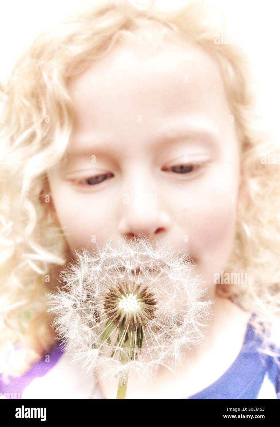 Young girl blowing on dandelion seed head Stock Photo