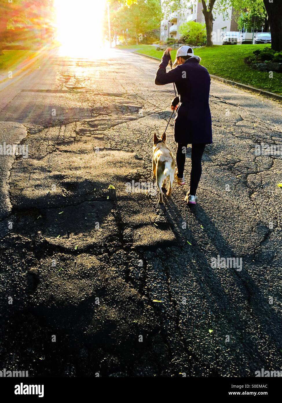 Woman and dog - Smartphone Captured Stock Image