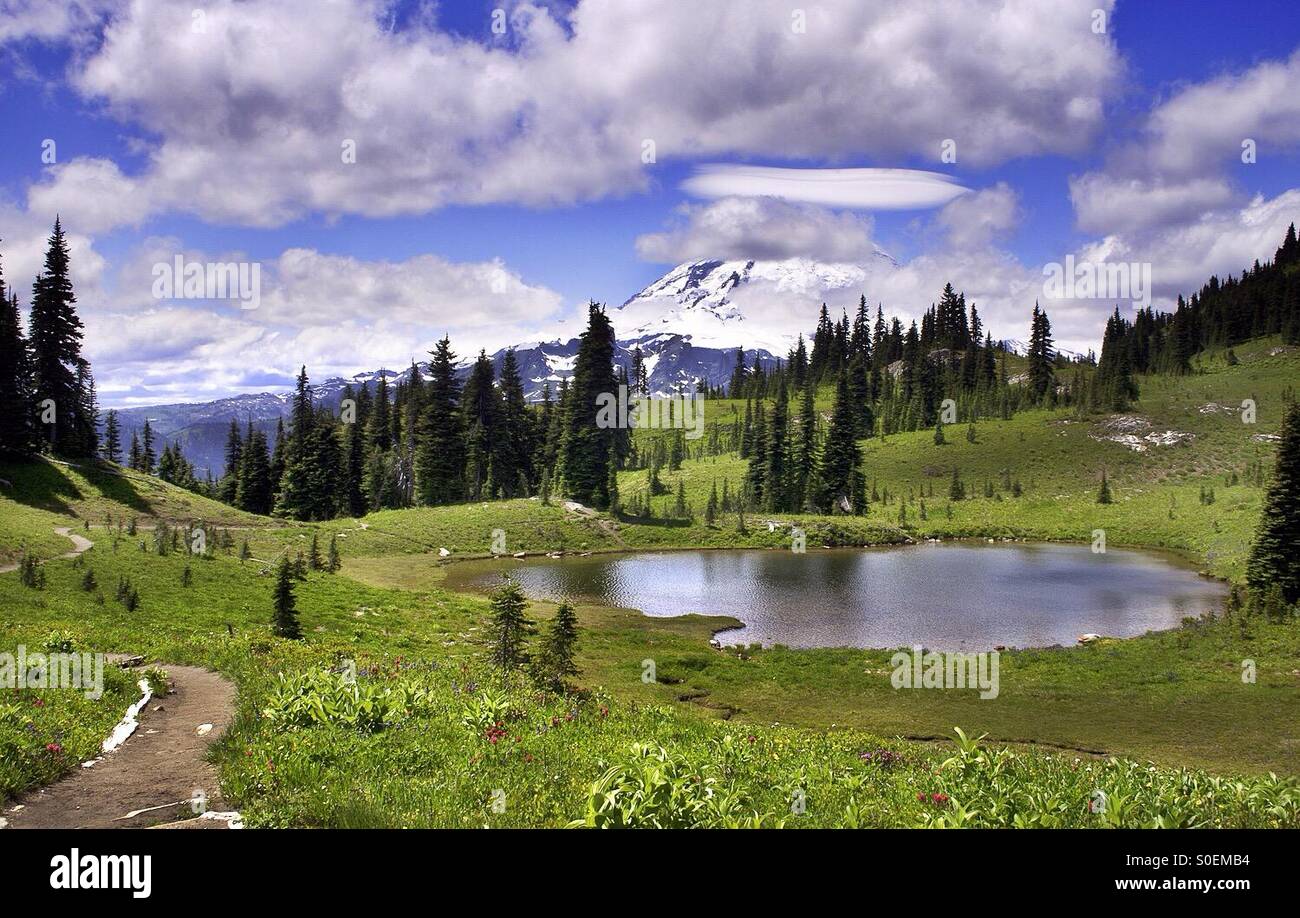 Hike near Mt Rainier in Washington state - Smartphone Captured Stock Image