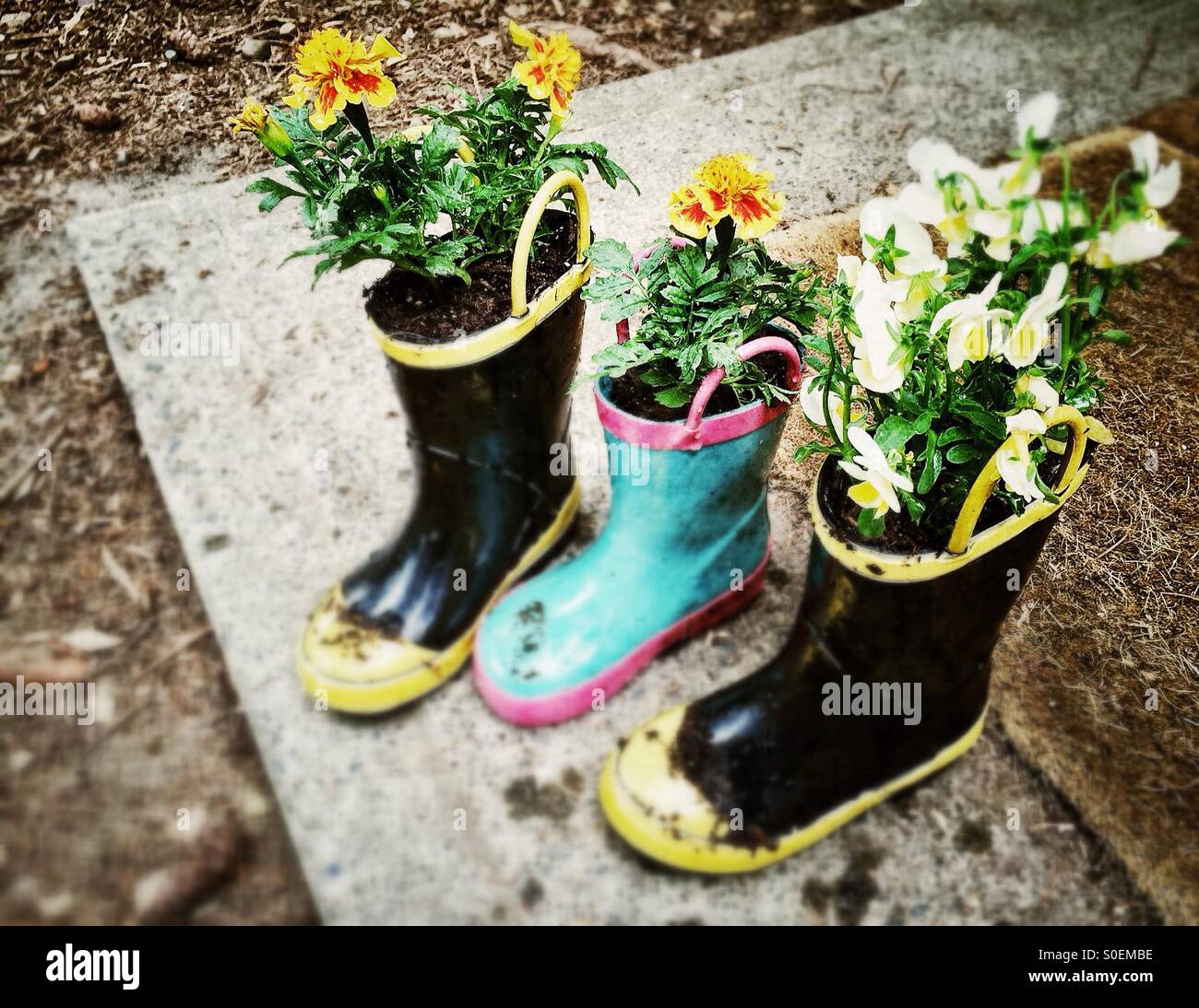 Flowers planted in children's boots Stock Photo