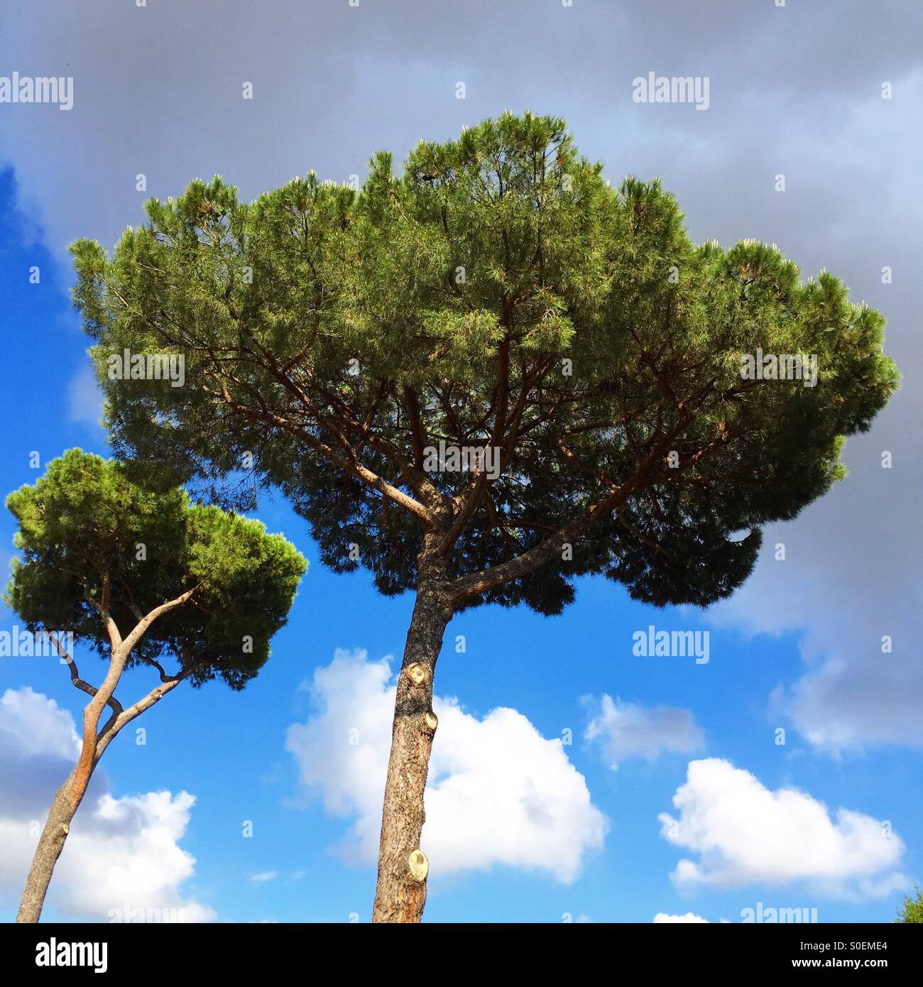 Rome - Smartphone Captured Stock Image