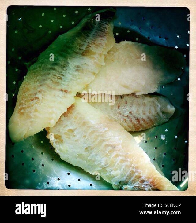 Haddock Filet - Smartphone Captured Stock Image