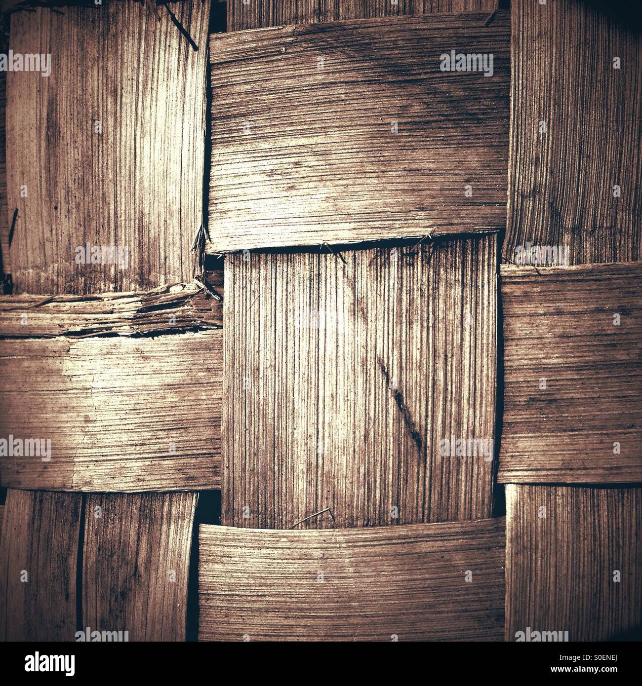 Palm Leaf Grid - Smartphone Captured Stock Image