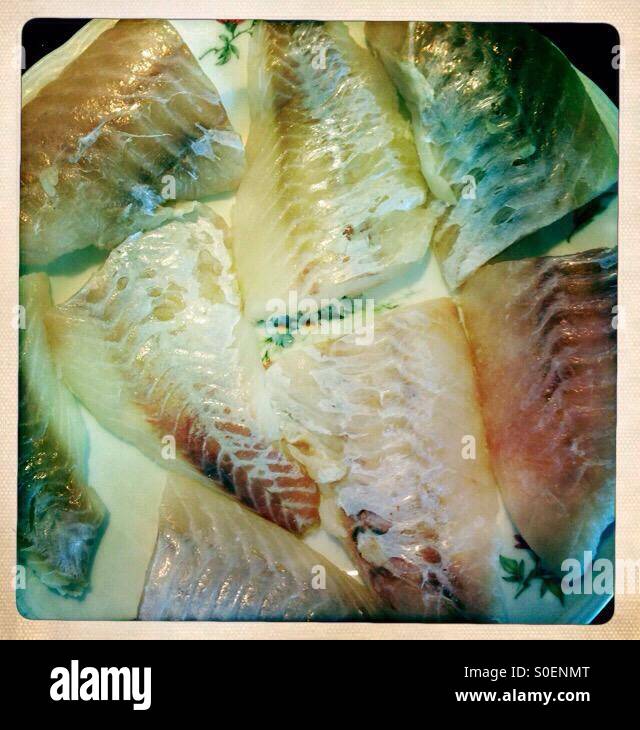 Haddock - Smartphone Captured Stock Image