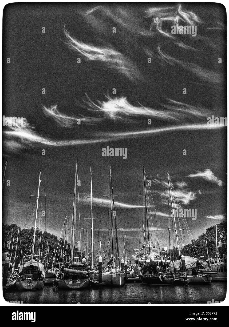 Black and white marina jetty port. - Smartphone Captured Stock Image