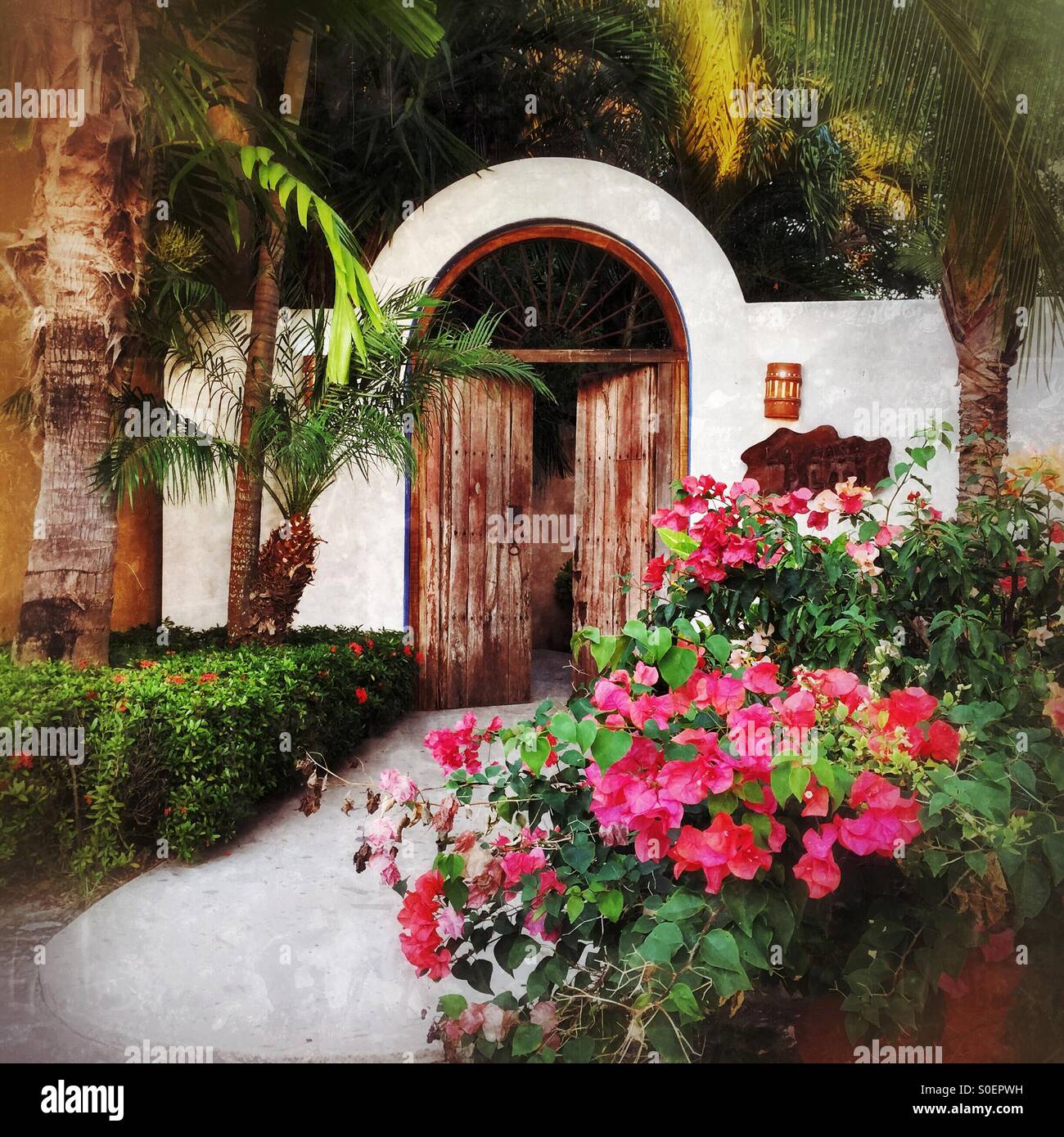 A charming entrance to a residential home features an antique wooden door under an arch and a walkway filled with tropical and colorful plants. Stock Photo
