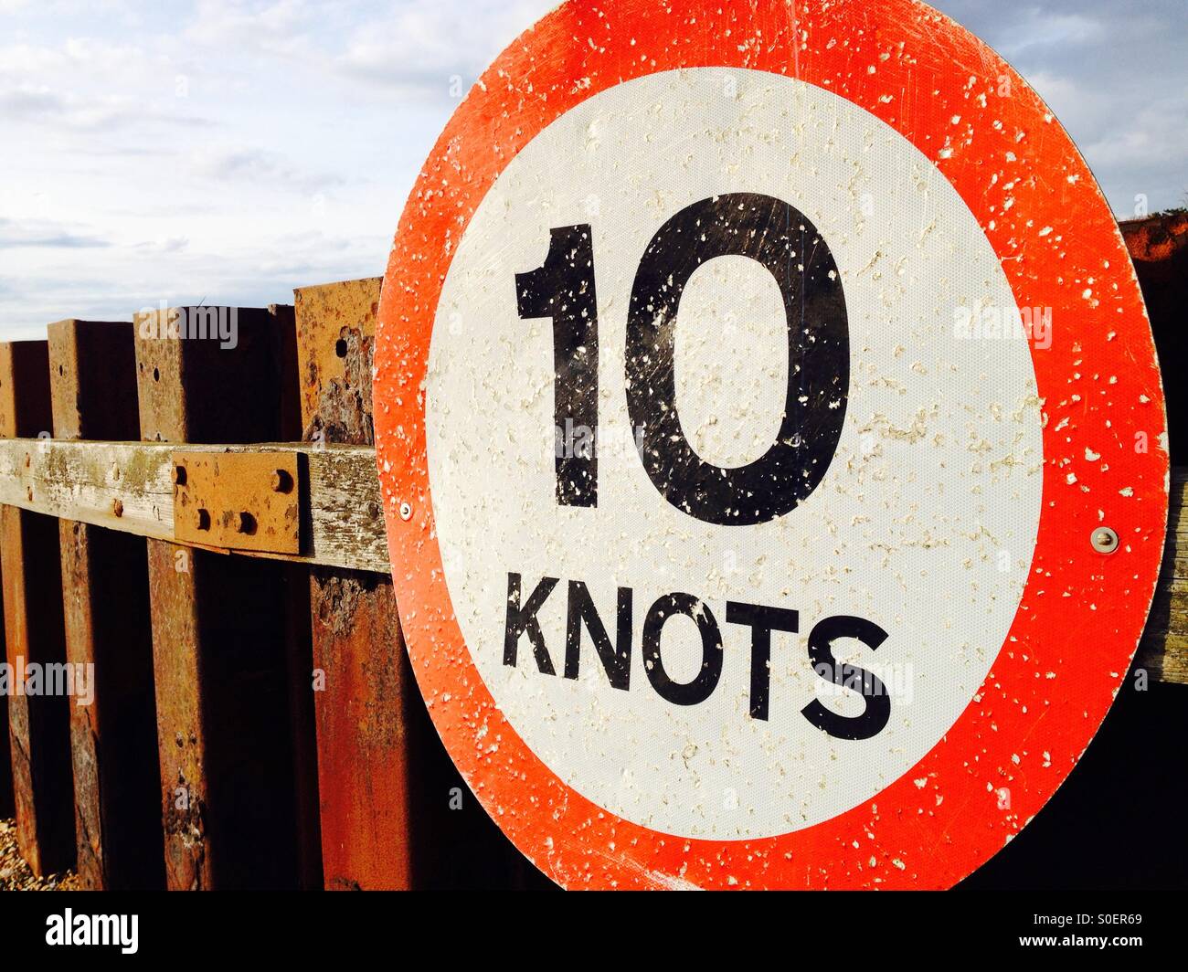 Red knots uk hires stock photography and images Alamy