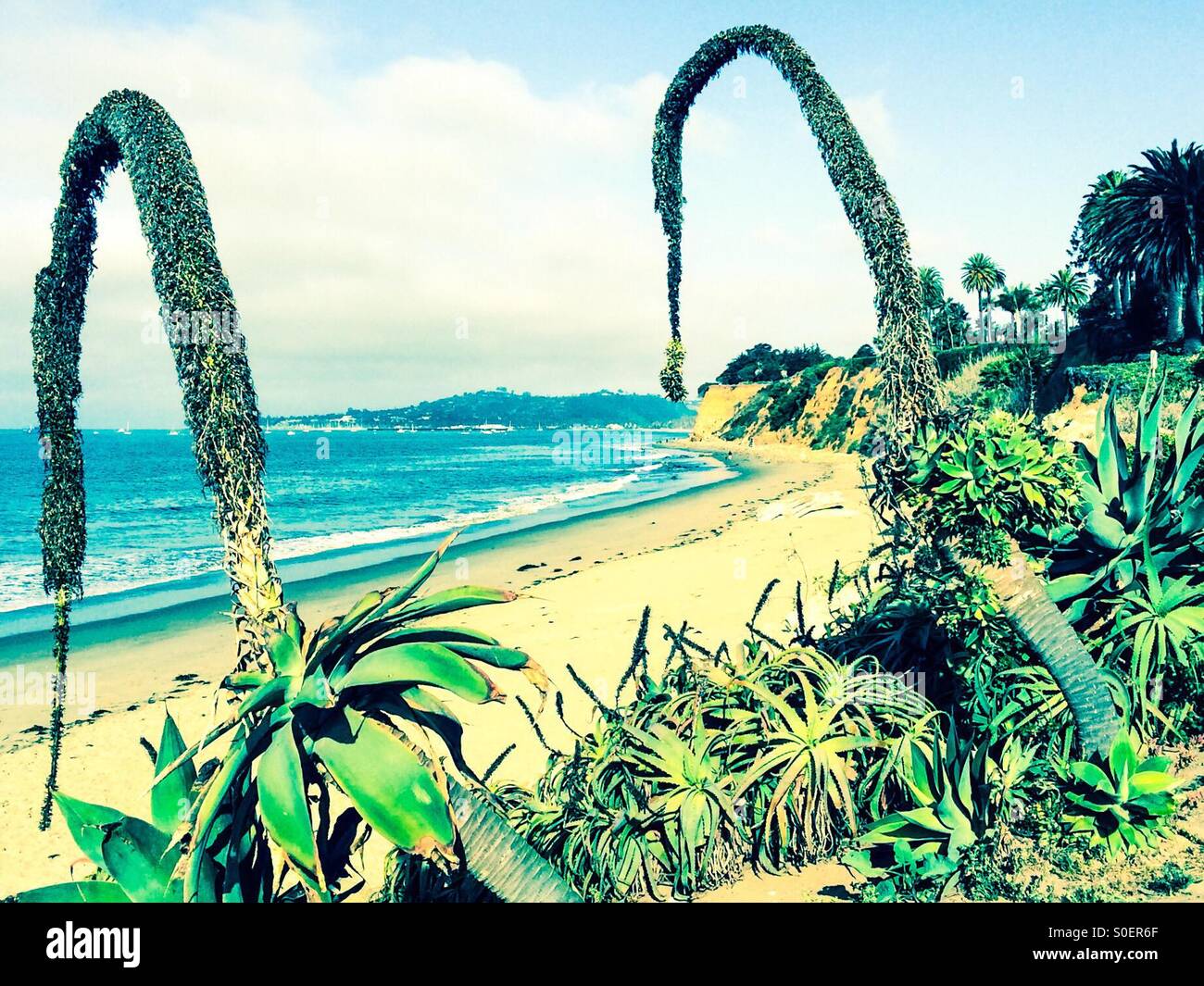 Butterfly Beach, Montecito, California USA Stock Photo Alamy