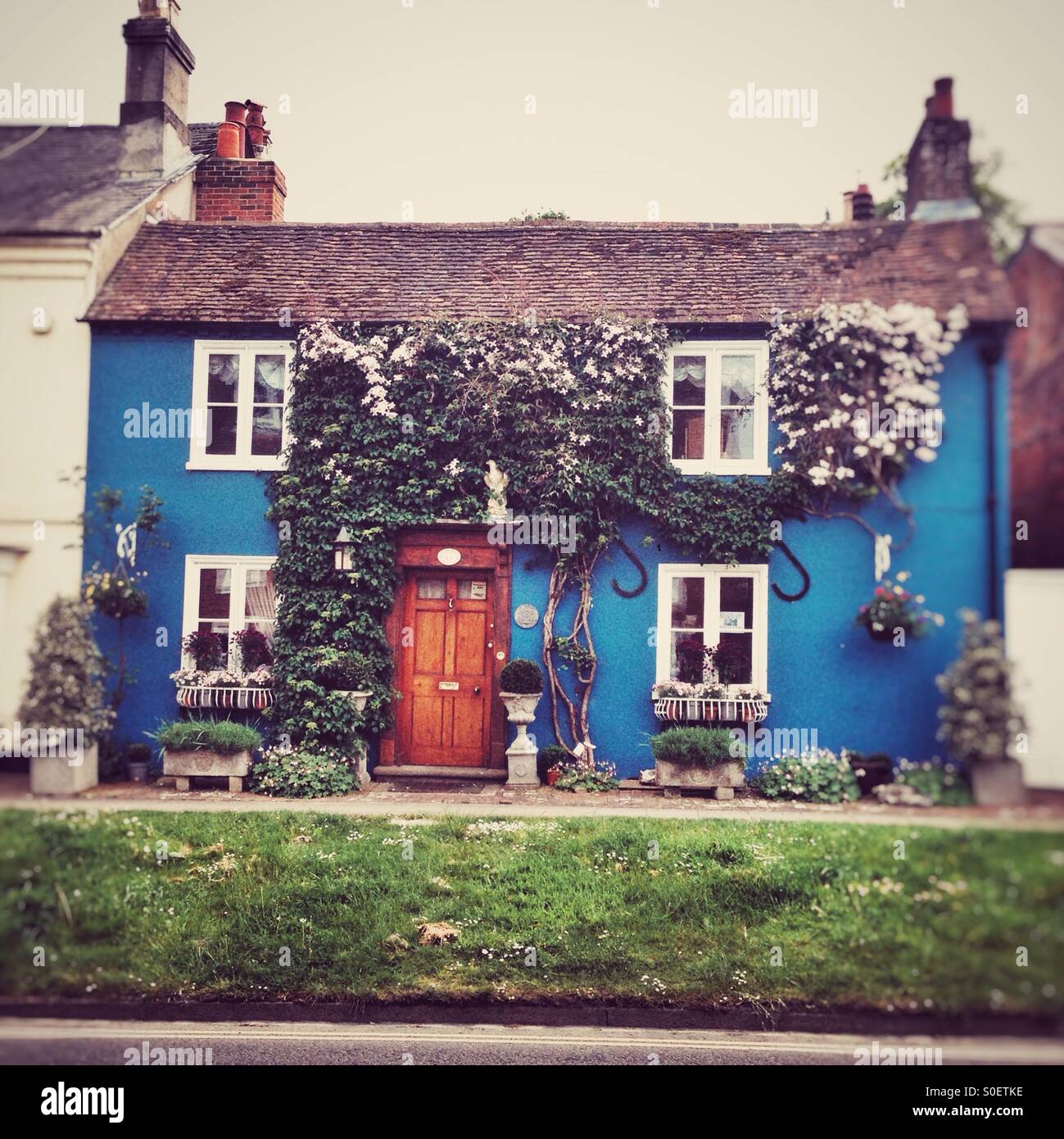 Old blue house covered in clematis flowers, East street, Alresford, Hampshire, England, United Kingdom. - Smartphone Captured Stock Image