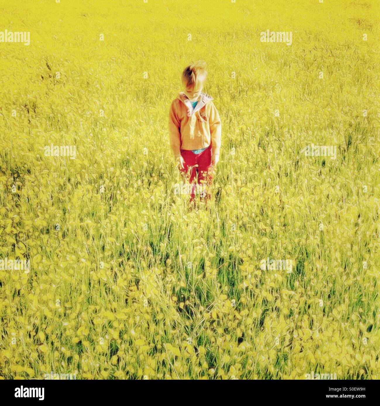Person standing field field hi-res stock photography and images - Alamy