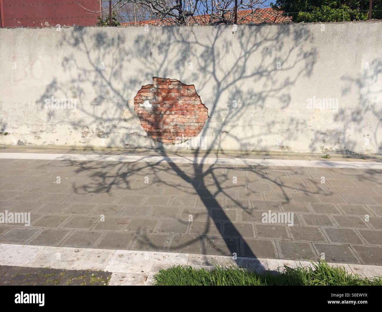 Tree Shadow Wall High Resolution Stock Photography and Images - Alamy