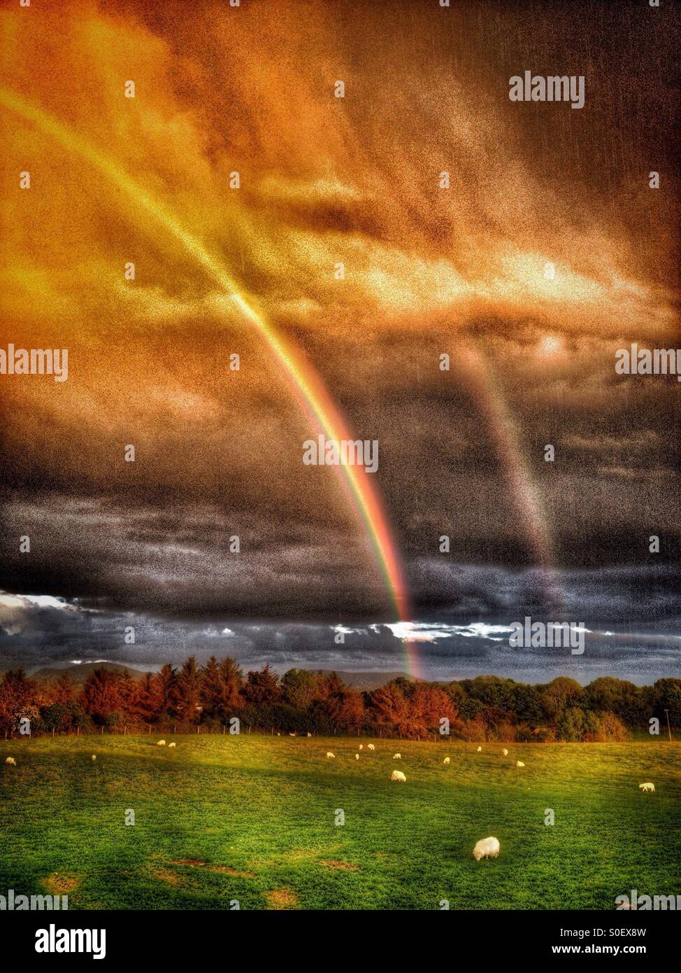 Double rainbow against stormy sky over Anglesey - Smartphone Captured Stock Image