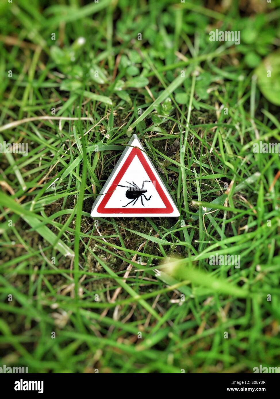 Attention Ticks - Smartphone Captured Stock Image