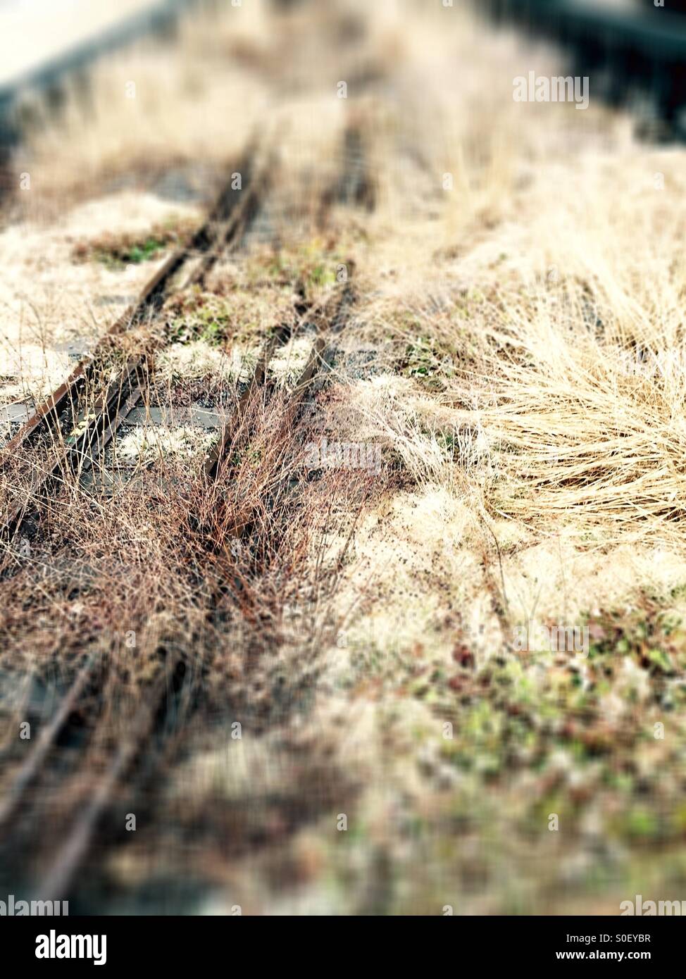 Abandoned railroad tracks to nowhere on the High Line Park, New York City - Smartphone Captured Stock Image